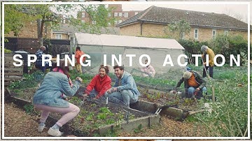 Spring Into Action | Hubbub Campaigns