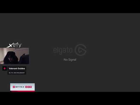 TenZ about AMD or Intel CPUs