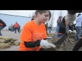 Flood Awareness Day