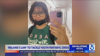 'Melanie's Law' aims to tackle youth fentanyl crisis