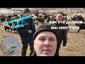 ФЕРМА С НУЛЯ  НАШЬ опыт, Разведение Овец,