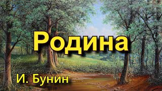 Бунин И.А. «Родина». Стихотворение