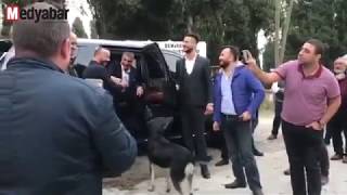 Sedat Peker Adapazarı'nda sokak köpeklerini besledi Resimi