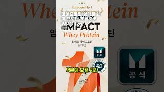 마이프로틴 임팩트 웨이 프로틴 초콜릿맛 WPC 1kg