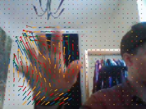 Calculation of optical flow using Farnebäck algorithm