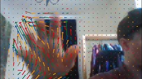 Calculation of optical flow using Farnebäck algorithm