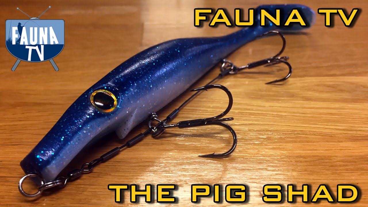 Fauna TV - The Pig Shad