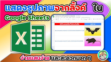 แสดงรูปภาพจากลิ้งค์ใน Google Sheets ง่ายแสนง่ายและสะดวกมาก ๆ