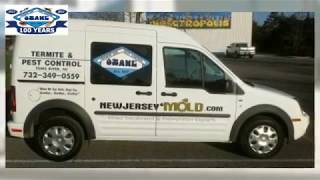 Ant Pest Control In Beachwood NJ 732-504-3758 Ozane.com