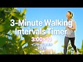 30 Minute Japanese Interval Walking Training Timer Boost Your Health 