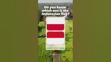 Can You Guess the Indonesian Flag? Test Your Knowledge!