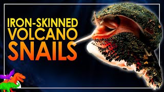 Iron-Armored Deepsea Scaly-Foot Snails - Most Metal Mollusk | Animals EXPLAINED screenshot 4