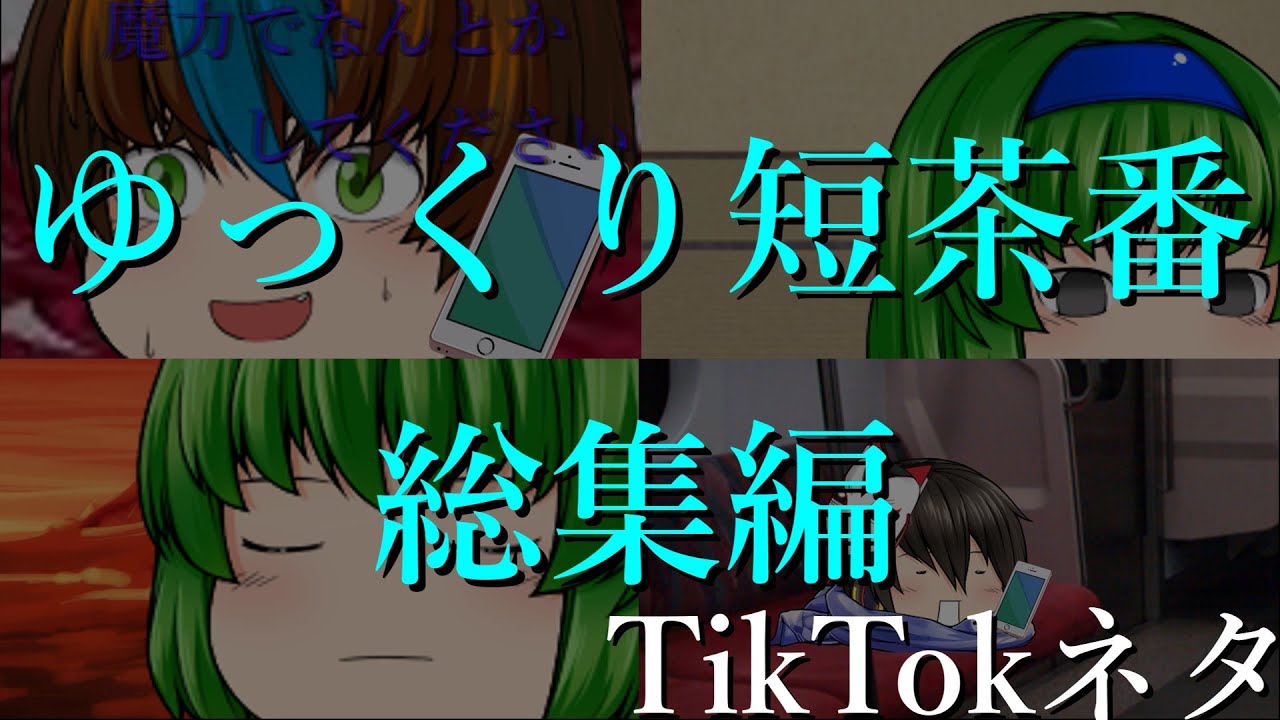 【ゆっくり短茶番】　TikTokネタ　総集編動画ファイル消しちゃった動画は入ってません