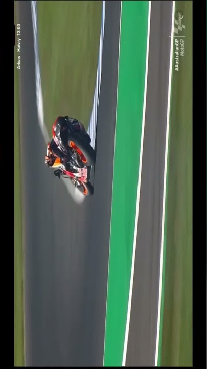 kangaroo on the Australian Moto GP circuit in 2022