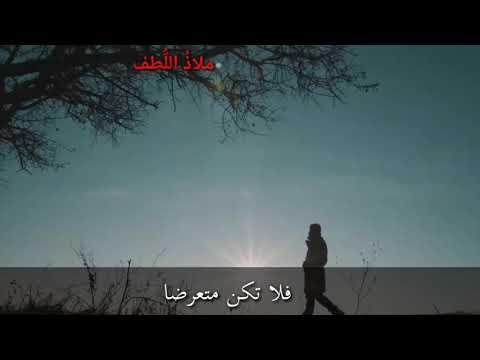 حالات واتس اب دينية الله يفعل ما يشاء وصف لطفا