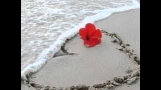 Brunner & Brunner - Ich werde niemals aufhörn dich zu lieben.wmv