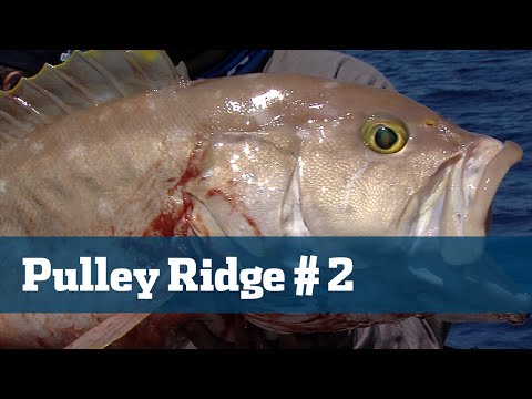 party boat deep sea fishing jacksonville fl offshore bottom fishing on the majesty party boat in ja party boat deep sea fishing jacksonville fl offshore bottom fishing on the majesty party boat in ja