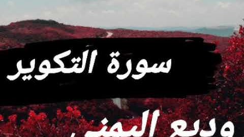 سورة التكوير بصوت القارئ وديع اليمني