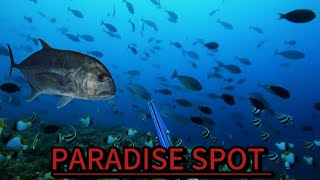 SPEARFISHING PHILIPPINES || HIDDEN PARADISE || MEL SPEARFISHING TV || BANTON😱