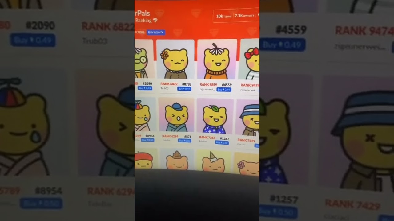 RARE NET SNIPE TUTORIALS 