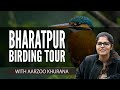 Bharatpur birding tour  aarzoo khurana 