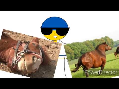 old-town-road-2-[countryhumans-shitpost]