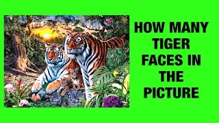 How Many Tiger Faces In The Picture
