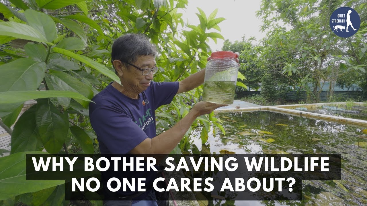 Why Bother Saving Wildlife No One Cares About?