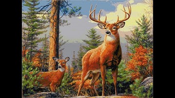 Flosstube cross stitch/ Stunning Wildlife Deers/ Cross stitch designs/ #Shorts