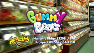 FUZZIWIGS CANDY FACTORY
