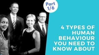 Introduction to extended DISC behaviour styles