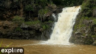 Waimea Falls and Beach Meditation by Explore Oceans 45,566 views 4 years ago 1 hour, 40 minutes