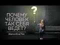 Почему он так себя ведёт? | Алхимия Таро | Общий расклад Таро