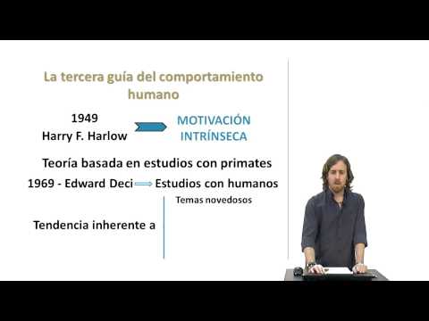Video: Método De Zanahoria Y Palo