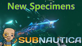 Somewhere beyond the Sea : Subnautica