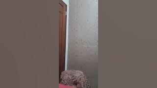 Dinda belajar goyang WOT sambil live | Bigo Live @massehmazzehreborn3486