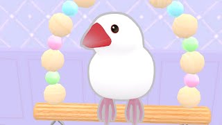 スマホゲーム『しあわせ文鳥LIFE』公式PV　好評配信中! screenshot 3