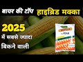 🌽Bayer DeKalb Maize Seeds🤯इसके आगे सब फेल ✅ Best Corn Seed for Farmers💯