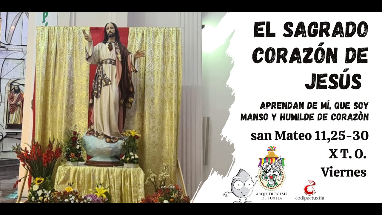 evangelio-del-d-a-san-mateo-11-25-30-x-t-o-viernes-2023-06-16-mons