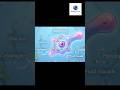 Life Processes Class 10: Nutrition in Amoeba