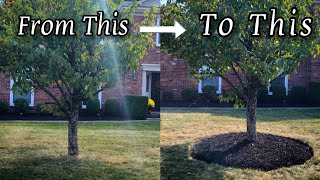 Mulching and Edging around a tree from SCRATCH