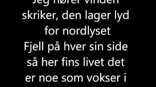 Video thumbnail of "Vinni - Sommerfugl i Vinterland Lyrics"