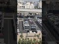 #shortvideo #youtubeshorts #tokyo #japan #japanlife #traveldestinations #desigirlintokyo #reels #wow
