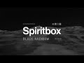 Spiritbox - Black Rainbow (Official Visualizer)