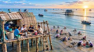 16 Hours With the Tides | Life on Vietnam’s Tidal Flats