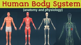 human body systems  | anatomy and physiology | human body organs