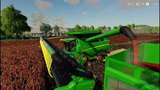 LA CORONELLA  Ep:1 | ORGANIC FARM | HARVESTING SORGHUM AND MILLET | Farming Simulator 19 PS4