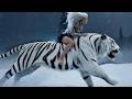Melodic Techno Mix 2026 ❄️ Chilling Deep Progressive House // White Tiger 4K