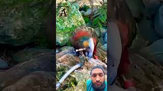 Surah Al ikhlas egzon ibrahimi #quran #سورة_الإخلاص #egzonibrahimi #ikhlas #shortsfeed #viralshorts