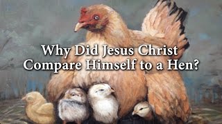 Why Did Jesus Christ Compare Himself To A Hen? (Knowhy #200) - Youtube